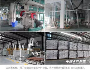 四川通威60萬噸飼料生產基地投產儀式在眉山隆重舉行 推動畜牧漁業(yè)高質量發(fā)展